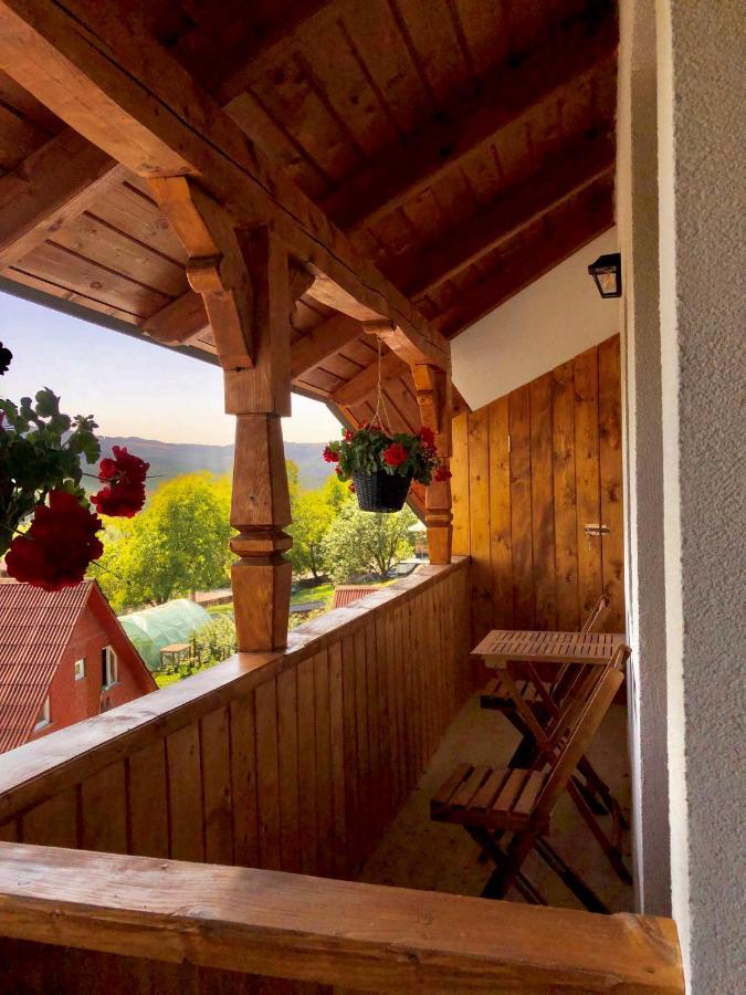 Pensiunea Roca Maramures Deseşti Exteriör bild