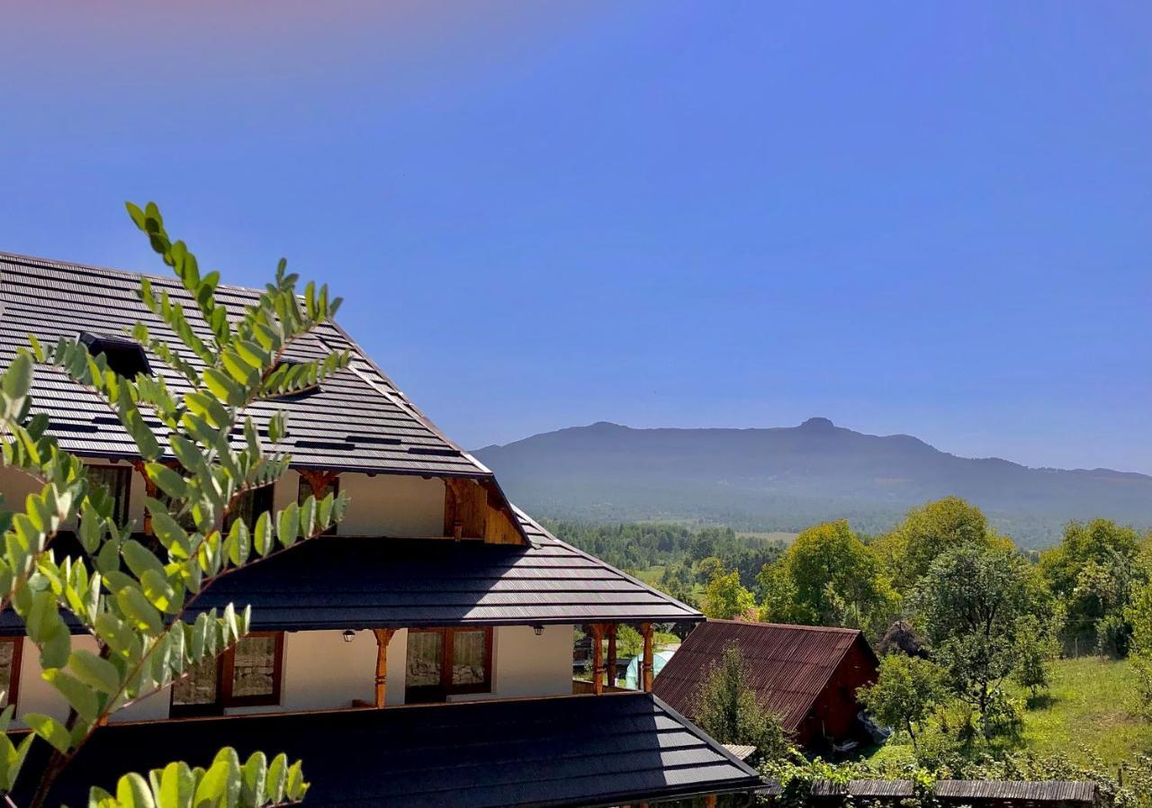 Pensiunea Roca Maramures Deseşti Exteriör bild