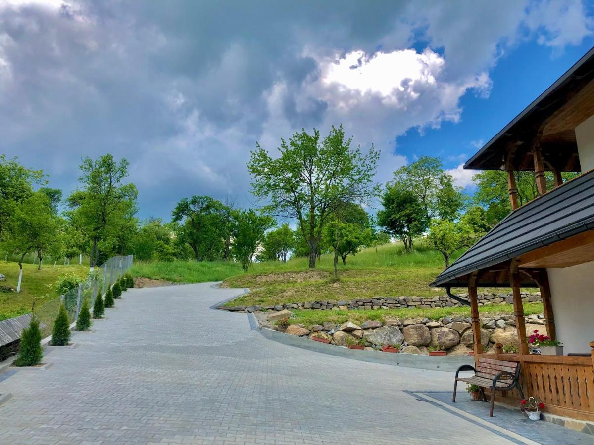 Pensiunea Roca Maramures Deseşti Exteriör bild