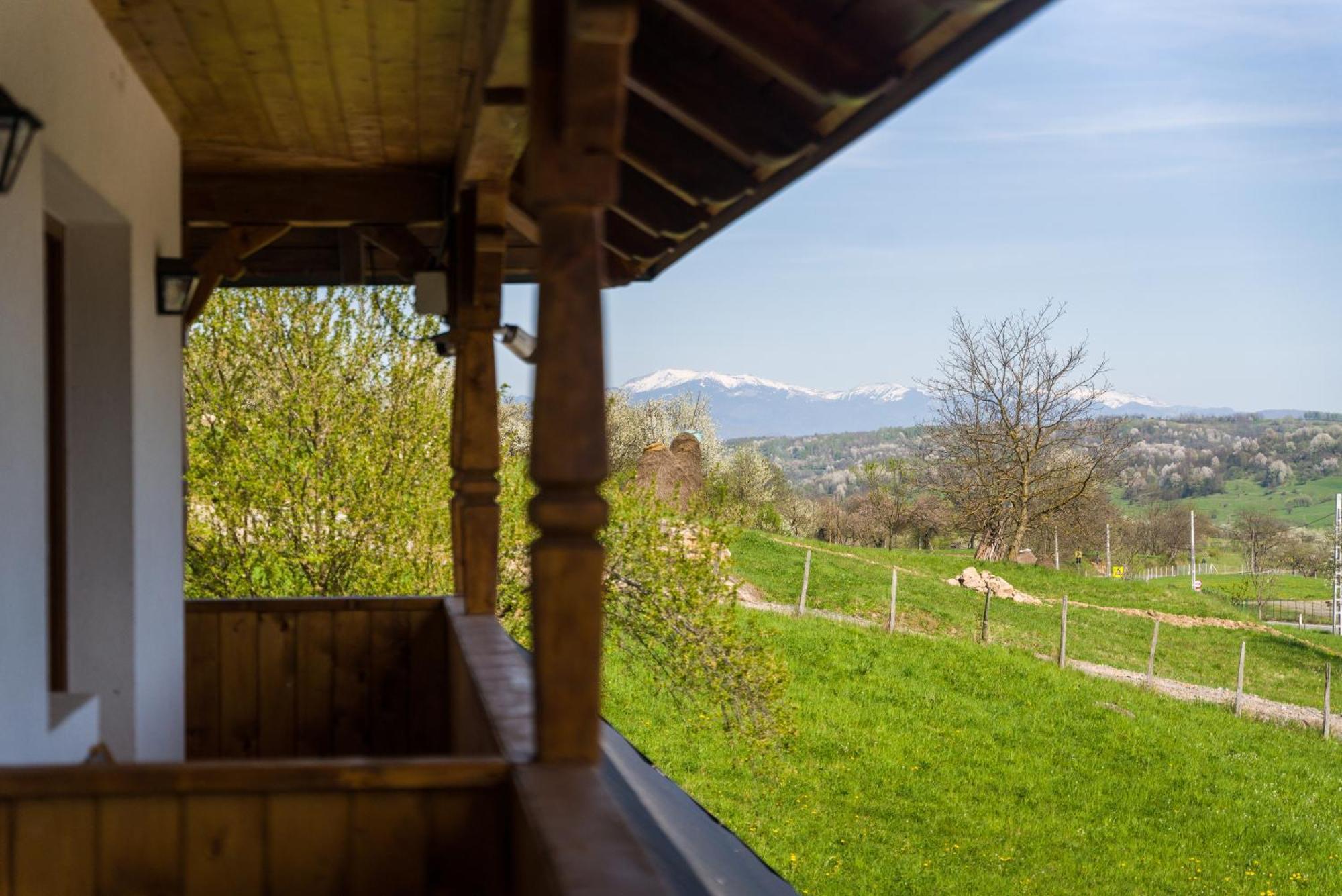 Pensiunea Roca Maramures Deseşti Exteriör bild