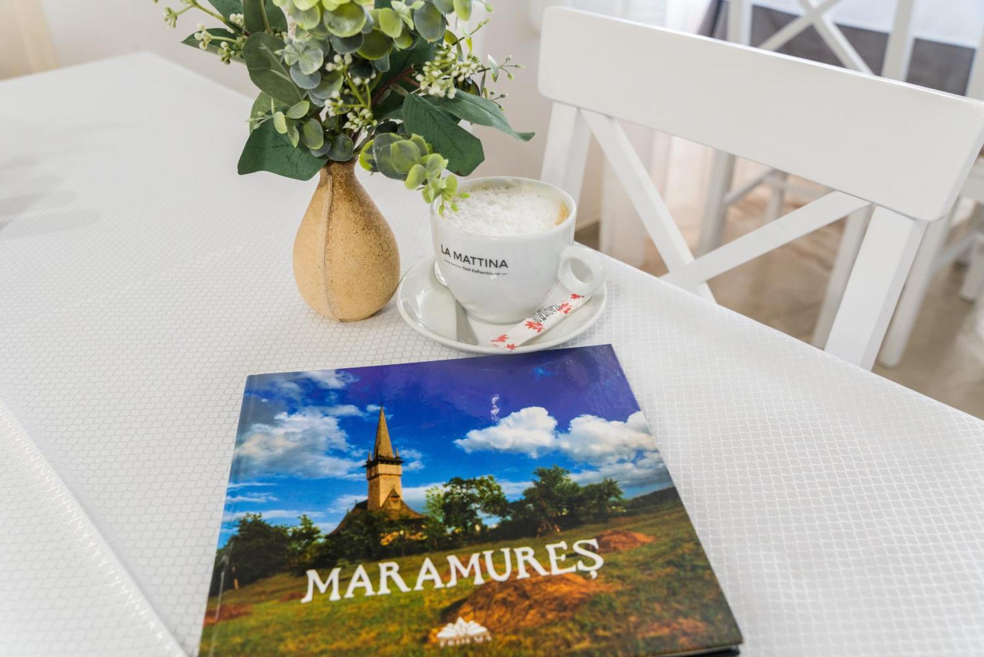Pensiunea Roca Maramures Deseşti Exteriör bild